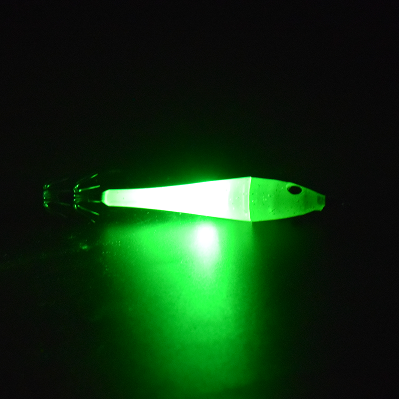 2 pcs LED underwater lure ligh - Fishing Boat Navigation Light avis et prix