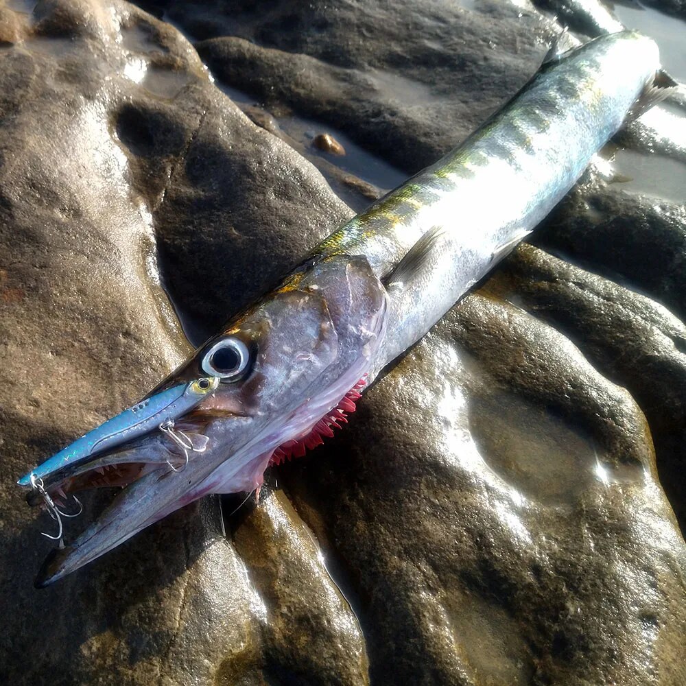 GOBAIT VIB Fishing Lure 20g 25 - Fishing Lure Blade Bait のレビューと価格