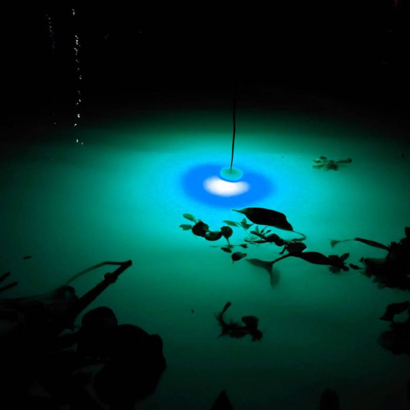 Mini Fishing Attraction Lamp G - Fishing Boat Navigation Light avis et prix