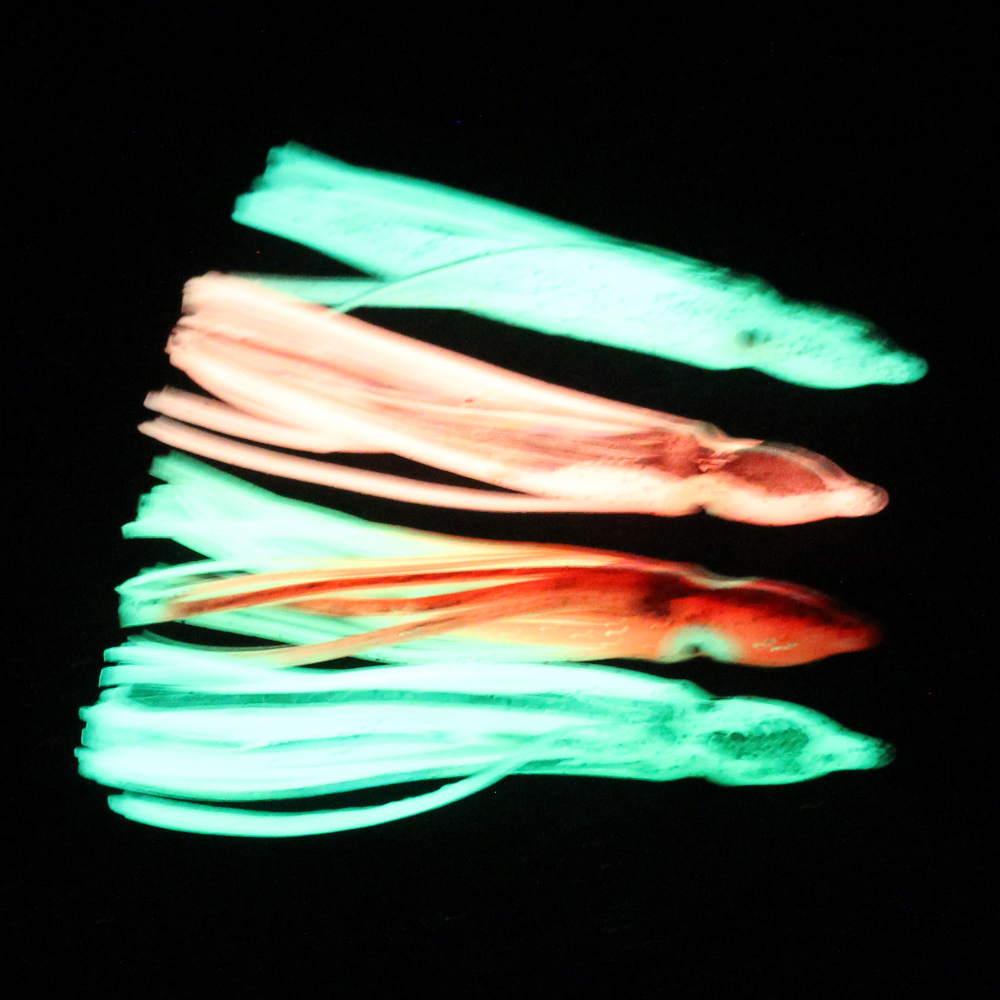 10 pcs soft light octopus squi - Fishing Lure Buzzbait のレビューと価格